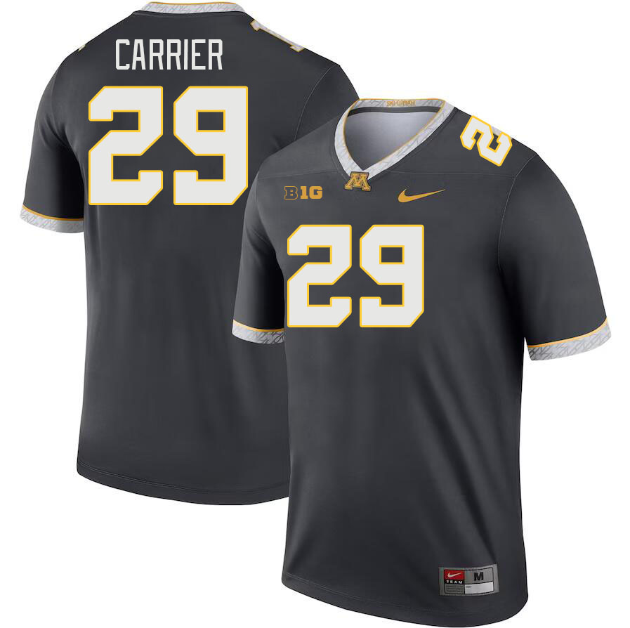 Men #29 Ethan Carrier Minnesota Golden Gophers College Football Jerseys Stitched Sale-Charcoal